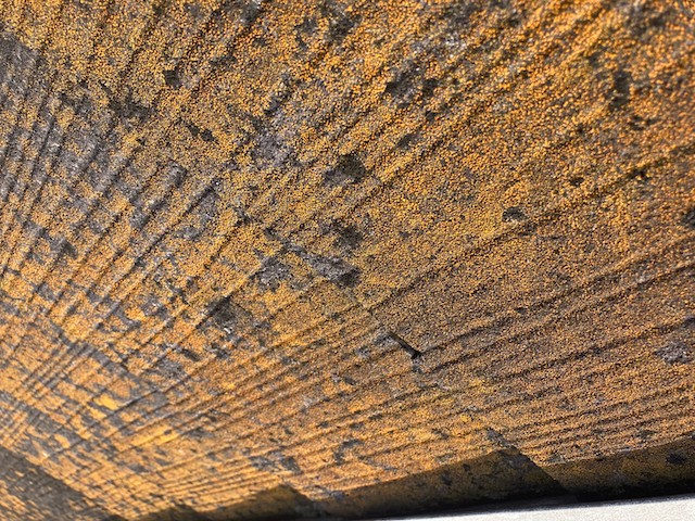 特に劣化した箇所